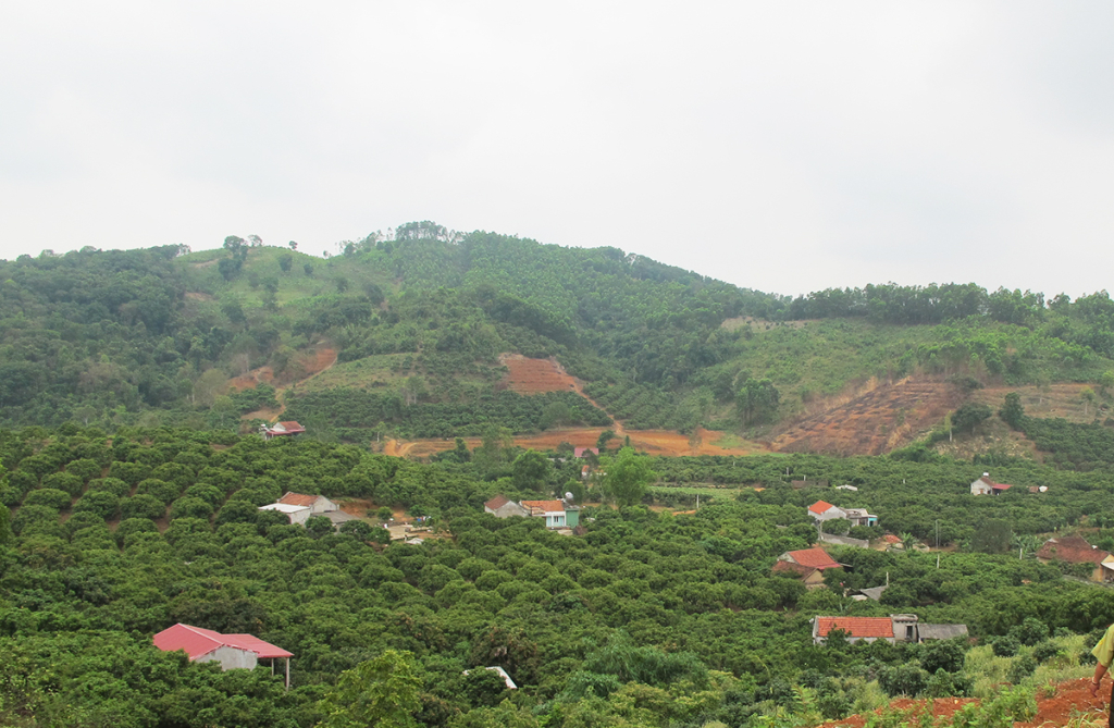 Bắc Giang: Công bố hiện trạng, diện tích rừng năm 2023