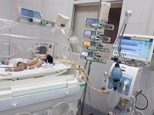 Cứu sống bé gái sơ sinh bị xuất huyết phổi nặng kèm rối loạn đông máu tại Bệnh viện Sản Nhi Bắc...