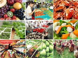 Sở Y tế triển khai kế hoạch đảm bảo an toàn thực phẩm  dịp Tết Nguyên đán 2013