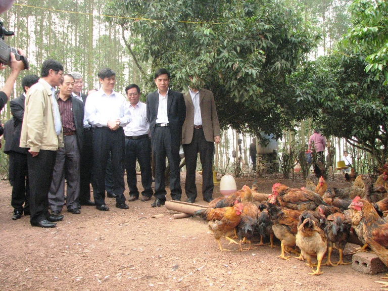 Bộ Y tế kiểm tra công tác phòng chống dịch cúm A/H7N9 tại Bắc Giang