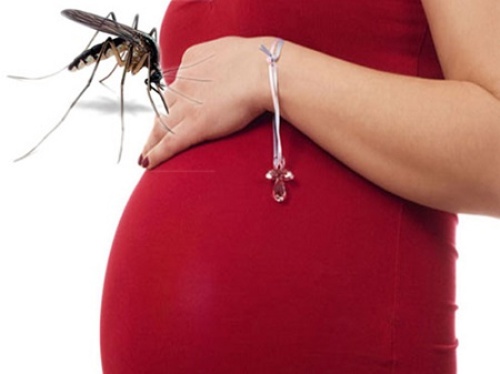 Mẹ bị sốt xuất huyết có ảnh hưởng đến thai nhi không?