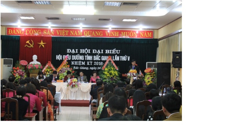 Hội Điều dưỡng tỉnh Bắc Giang tổ chức Đại hội đại biểu lần thứ V  (2016-2021)
